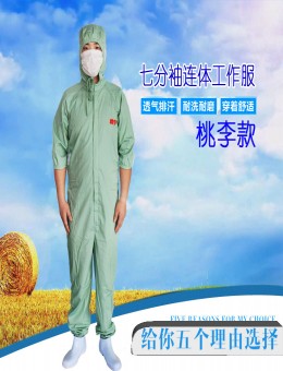 紫羲桃李豆绿色七分袖连体服
